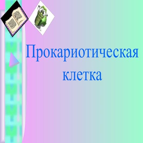 Прокариотическая клетка