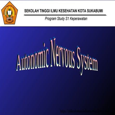 Autonomic nervous system