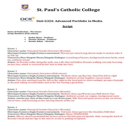 6.Script Jordan Brace