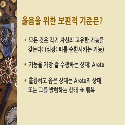 개인의 형성 @김기현 서울대학교 교수