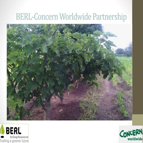 BERL- Concern Worldwide presentation on CSA