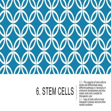 6. stem cells