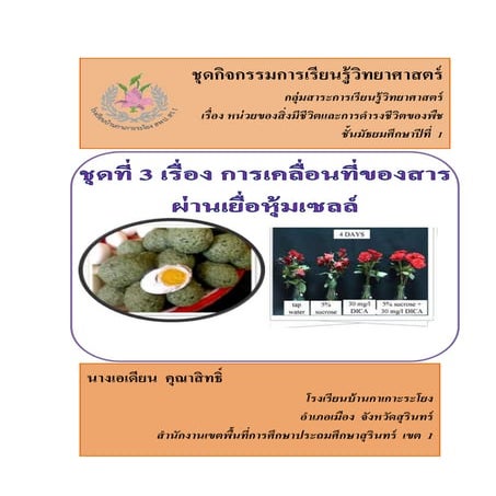 6.ชุด 3 การแพร่
