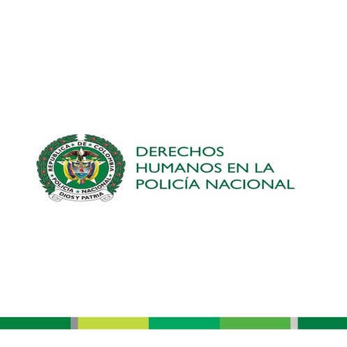 Manual de Organización y Funciones de La FELCC Bolivia | PDF