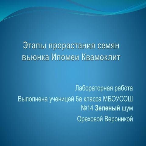 Прорастание семян Орехова Вероника 6а 2015 | PPT