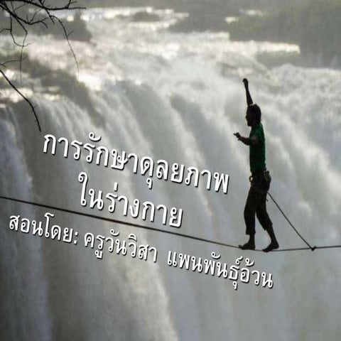 บทที่ 1 การรักษาดุลยภาพในร่างกาย