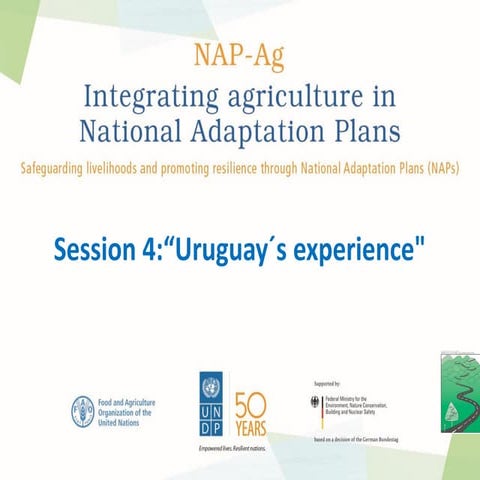 Uruguay’s experience