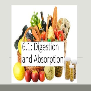 6.1 digestion