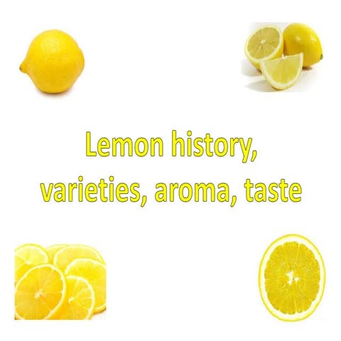 History of lemon, variaties, taste and aroma 