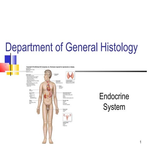Histology of Endocrine system