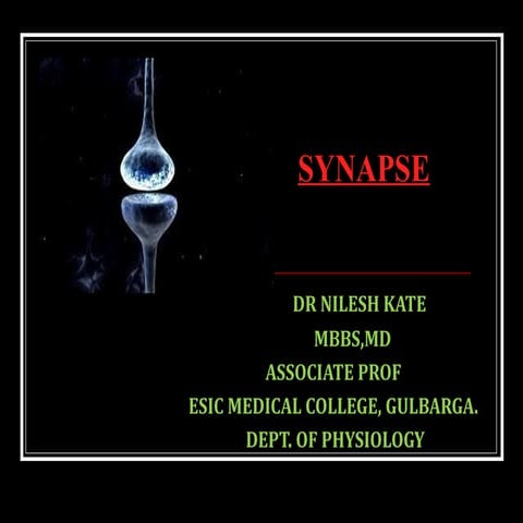 SYNAPSE