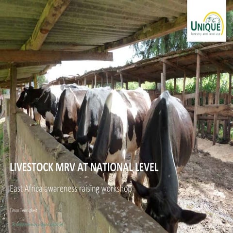 Livestock MRV at national level