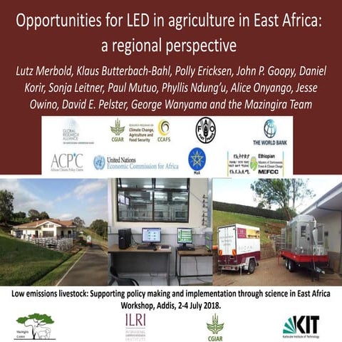 Opportunities for LED in agriculture in East Africa: a regional perspective