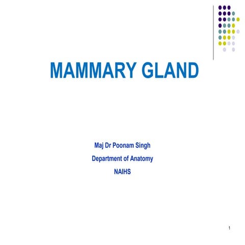 6. mammary gland