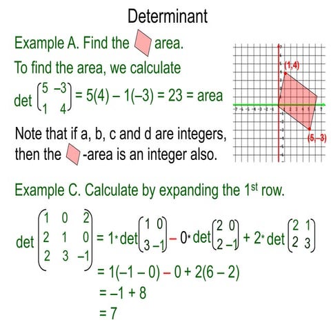 6.5 determinant x