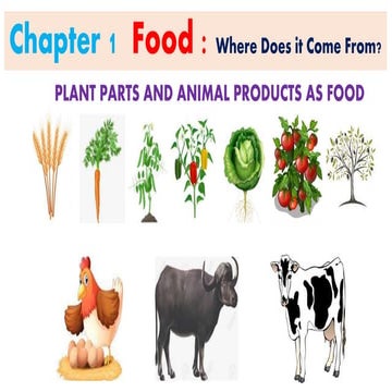Food - plat parts and animal products