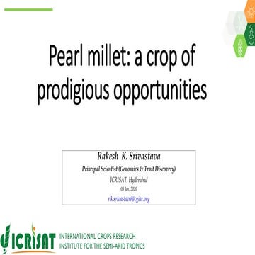 Research Program Genetic Gains (RPGG) Review Meeting 2021: A crop of prodigio...