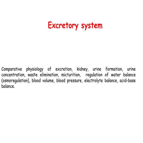 6. excretory system