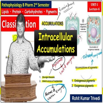 intracellular accumulation (lipids, proteins, carbohydrates, pigments)