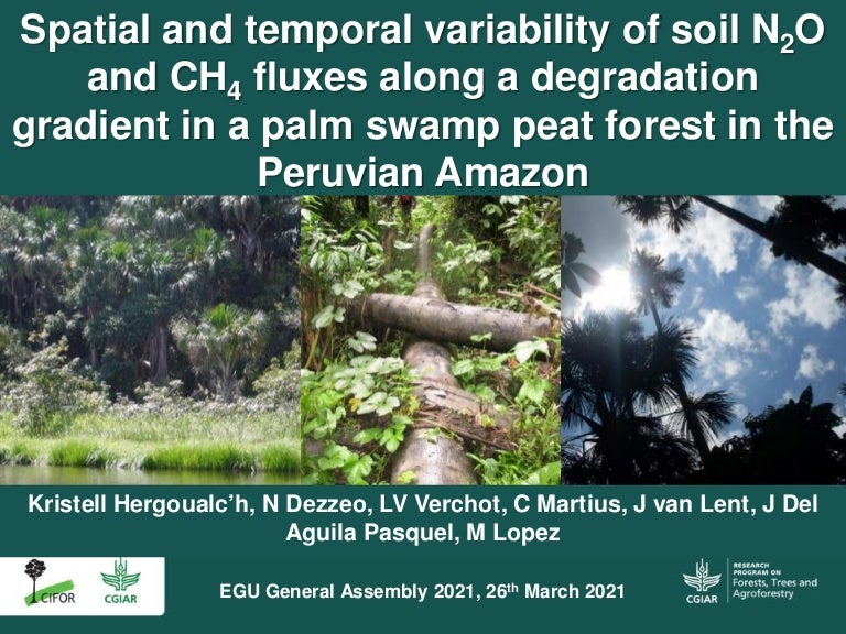 thumbnail of  Spatial and temporal variability of soil N2O and CH4 fluxes along a degradation gradient of palm swamp peatlands in the Peruvian Amazon