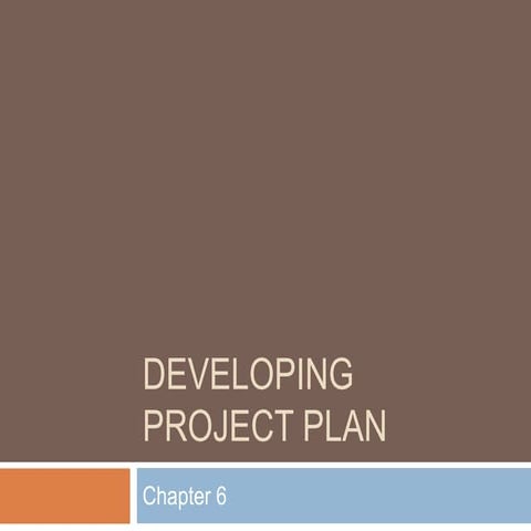 6. Developing Project Plan.pptx