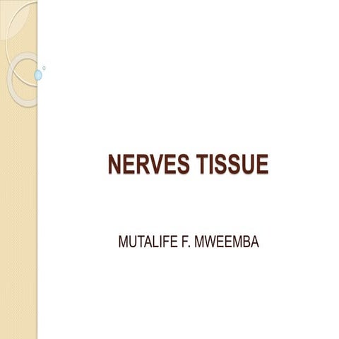 6. Nerves tissue-1.pptx