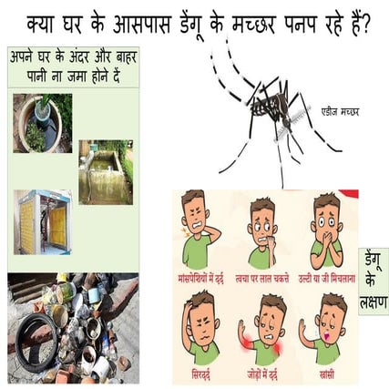 DENGUE wall poster HIndi