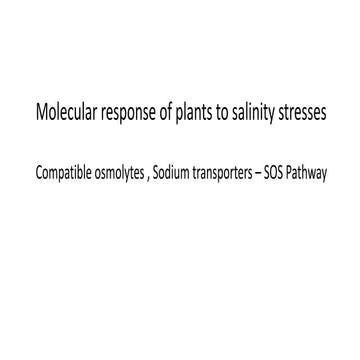 Molecular  responses to  salinity stress