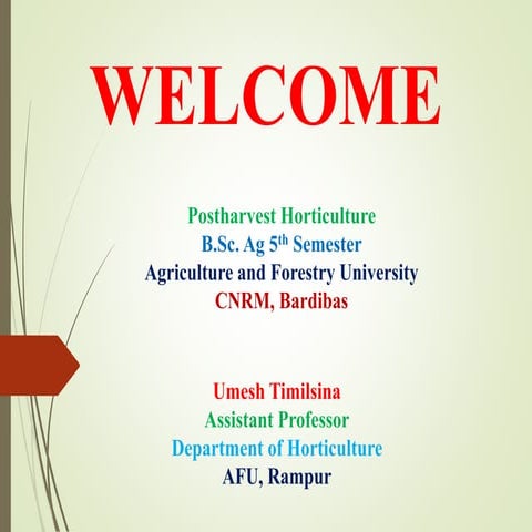 6. Physiological Disorder of fruits and vegetables.pptx
