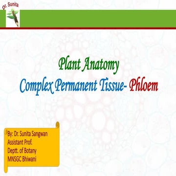 Phloem - Complex permanent tissue in plants