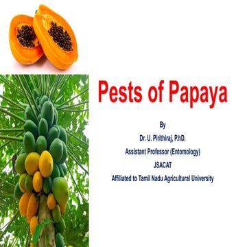 Pests of Papaya_Identification_IPM_Dr.UPR.pdf
