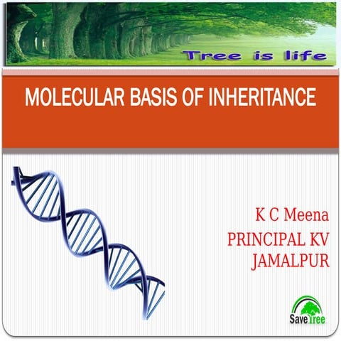 Class 12 Molecular Basis of Inheritance.pptx