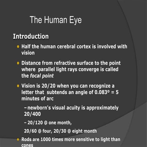 6. 6.6.2020-physiology-EYE__.ppt- Dr Math.pptx.pdf