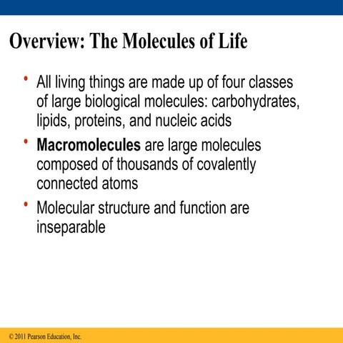 Bio Chapter 5: Macromolecules | PPT