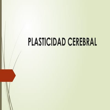 PLASTICIDAD CEREBRAL PRESENTACION DE.pptx