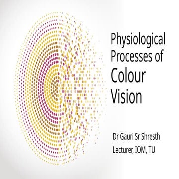 6.1 Colour Vision and Physiological Processes.pptx