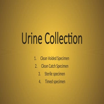 6.-Urine-Collectionyggyghhbgb vvvv vvvvv.pptx