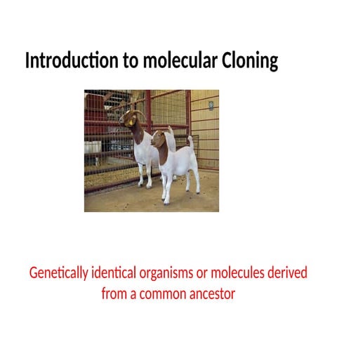 6. cloning.pptxjkdskjsakldjaskjdlkasjdklajsdkljsakldjkl