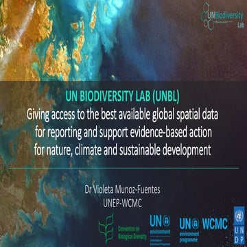 UNBL: Giving Access to the Best Available Global Spatial Data for Reporting a...