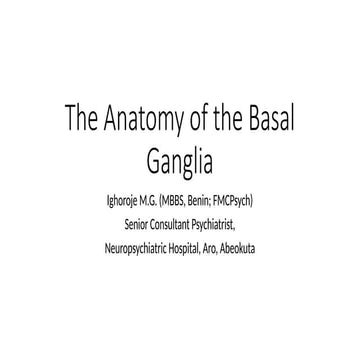 6. The Anatomy of the Basal Ganglia.pptx