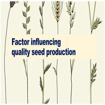 Seed Quality and Characters of good quality Seeds.pptx