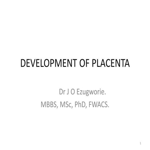 Comprehensive Overview of Placental Development and Fetoplacental ...