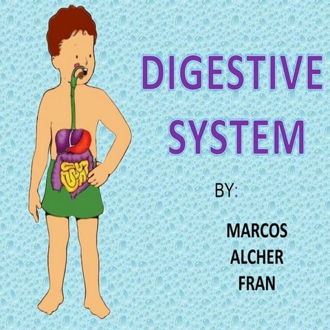 Body Systems Class B