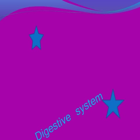 Body Systems Research