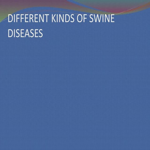 6. different kinds of swine diseases