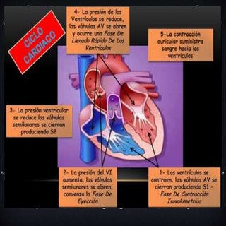 6   estenosis e insuficiencias dra....