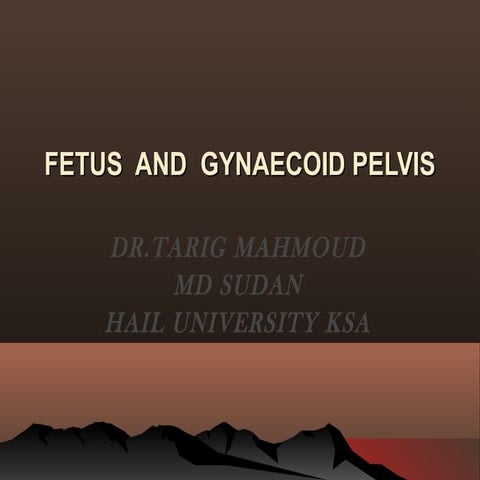  fetus and gynaecoid pelvis 