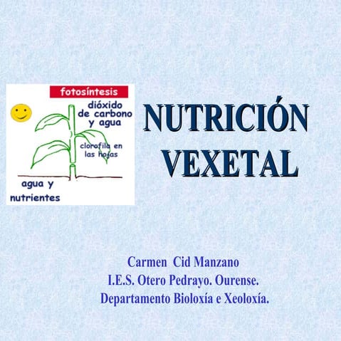 6.funcion nutricion reino vexetal