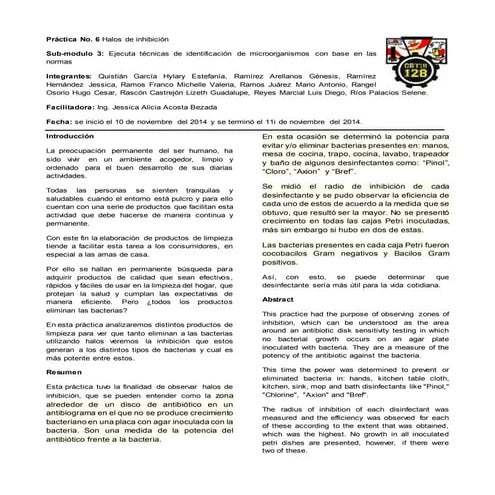 #6 halos de inhibición