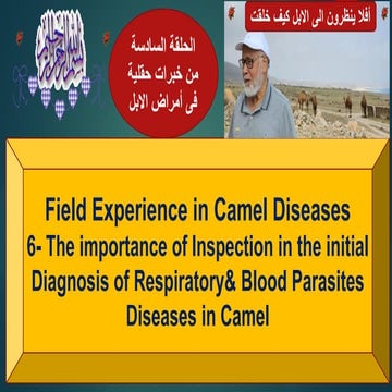 6- Importance of Insection For Early Diagnosis of Boood Parasites and other d...